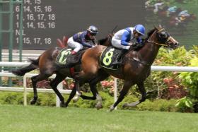 Jungle Cruise giving Marc Lerner the first leg of his four-timer in Race 4 on Saturday. The $26 chance was also trainer Hideyuki Takaoka&#039;s first winner since Sousui&#039;s victory on May 14. ST PHOTO: SHAHRIYA YAHAYA

