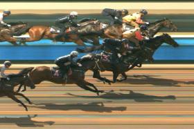 Cosmic Dancer (Bernardo Pinheiro) finishing a neck-second to Sacred Sky (Benny Woodworth) in the second of two barrier trials at Kranji on Tuesday. 