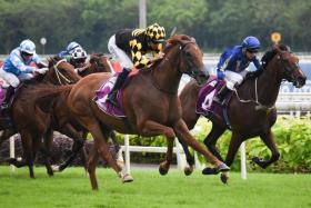 Champion trainer Tim Fitzsimmons&#039; Golden Monkey (Hugh Bowman) producing the best finish to claim the Group 1 Singapore Derby (1,800m) on July 23. PHOTO: STC