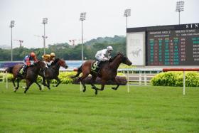 Geobels Glory (Ronnie Stewart) clearing away to an easy victory in the Restricted Maiden race over 1,400m on Sept 9. Improved, the Tim Fitzsimmons-trained three-year-old can follow up in Saturday&#039;s Class 4 event over 1,600m.