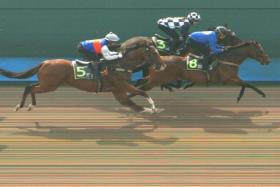 The Tim Fitzsimmons-trained Dream Alliance (Bruno Queiroz, No. 5) running on pleasingly to finish third to Lim&#039;s Kosciuszko (Marc Lerner) and Fame Star (Jerlyn Seow) at the barrier trials at Kranji on Thursday.
