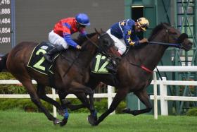 Invincible Tycoon (A&#039;Isisuhairi Kasim), on the inside, holding off Cyclone (Ronnie Stewart) by a short head in a Class 1 race over 1,600m on Aug 27.
