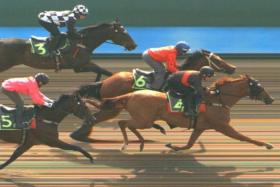 Golden Monkey (Vlad Duric) getting the better of Super Salute (Manoel Nunes) by a neck in barrier trial No. 3 on Dec 7. Fame Star (Jerlyn Seow, No. 3) ran third another 3/4-length away, one neck clear of Gold Star (Vitor Espindola).
