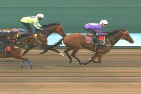 Pacific Victory (Iskandar Rosman) taking out the first of three barrier trials at Kranji on Dec 19. Nimbus Star (Krisna Thangamani) and Foxship (Matthew Kellady) filled the minors.
