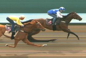 Stablemates Renzo (Rozlan Nazam) and Leatherhead (Mohd Zaki) filling the &quot;quinella&quot; in the second of only two barrier trials on Dec 26.
