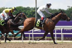 Greatham Boy (Ibrahim Mamat) making a winning debut in a Restricted Maiden race (1,100m) on June 17, 2023.
