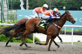 Trident (apprentice jockey Jamil Sarwi) returning triumphant from a six-month layoff on Jan 6. The Donna Logan-trained five-year-old has improved further and will be a force to be reckoned with in the $70,000 Class 3 event over 1,400m on Jan 27.