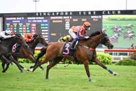 Axel (apprentice jockey Jamil Sarwi) coming from the clouds to beat a Class 4 field over his pet 1,400m trip on Jan 20. It was his 10th success and more is in store on his sparkling 600m hit-out on Jan 30.