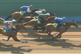 Gallant eight-year-old Sayonara (No. 7), with Rozlan Nazam in the saddle, taking out Trial No. 2 at Kranji on Feb 6.
