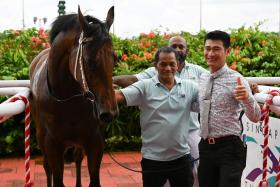 A proud trainer Richard Lim giving the thumbs-up sign when posing with Super Salute, who gave him his first feature success by capturing the Group 3 New Year Cup (1,200m) on Jan 6. In splendid shape, Super Salute can follow up in the Group 3 Fortune Bowl (1,400m) at Kranji on Feb 11.