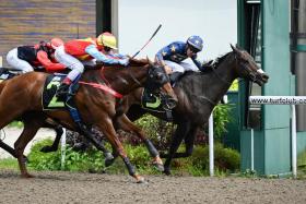 Mesmerizing (No. 2, Mohd Zaki) going down by just a nose to Lim&#039;s Bestbreaker (Marc Lerner) at his last start on Feb 3. On his impressive hit-out with Zaki astride on Feb 13, he looks set to go one better in the $50,000 Class 4 race over the Polytrack 1,700m on Feb 17. 