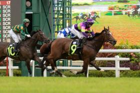 Street Of Dreams (Ronnie Stewart) taking the Kranji Stakes A race (1,600m) on March 4, 2023. It was his last win and sixth in a row. On his March 5 hit-out, he is a strong force in the Group 3 Committee&#039;s Prize (1,600m) on March 9.