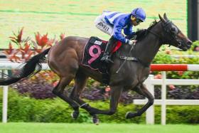 Star North (Iskandar Rosman) recording his second win at his last start in a Class 4 race over 1,400m on Feb 3. 