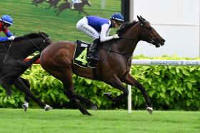 Makin winning his last start with Ryan Curatolo up, as jockey Manoel Nunes was committed to ride eventual runner-up Black Storm.