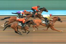 Golden Monkey (Jaden Lloyd) beating stablemate Dancing Supremo (Manoel Nunes, inside) and Lim&#039;s Kosciuszko (Marc Lerner, No. 7) in the second of four trials at Kranji on April 11. Fourth is Lucky Hero (Zyrul Nor Azman).
