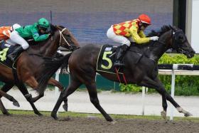 Golden Brown (Manoel Nunes) recording the second of his two wins in a Class 4 race (1,200m) on Jan 6.
