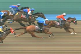 The Steven Burridge-trained Ejaz (Manoel Nunes) finishing the best in the first barrier trial on April 16, with Wan Legacy (Troy See) and Condor (Ryan Curatolo) second and third respectively.
