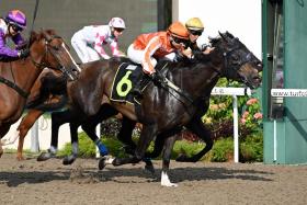 Bransom (Bruno Queiroz, in yellow cap) finding Pacific Charm (Koh Teck Huat, No. 6) a shade better in a Class 4 1,000m event on the Polytrack on April 6. Bransom looks ready to go one better when he faces the starter on May 4.