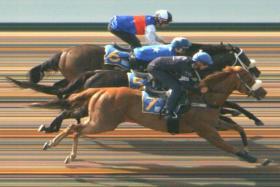 Maxima (Bernardo Pinheiro, No. 7) nosing out Hole In One (Rozlan Nazam, No. 5), with Condor (Ryan Curatolo, No. 6) third, in a Kranji trial on April 30.
