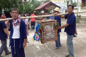 No cats were used during the Hae Nang Maew. 