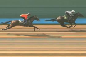 Bransom (Bruno Queiroz) finishing ahead of Wins Eight (Marc Lerner) in a Kranji barrier trial on May 23. James Peters&#039; galloper had to pass that test following his last-start last place on May 4.