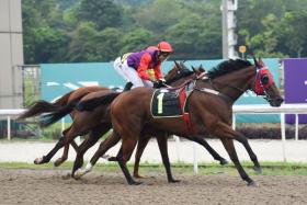 Red Dot (Marc Lerner) squeezing in between the riderless Big Tiger and Teardrops (obscured) to win a Class 4 1,200m race on June 17, 2023. A nice trial and a good hit-out point to his chances in the Class 3 1,100m event on June 1.