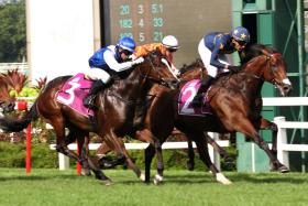 The Daniel Meagher-trained Lim&#039;s Saltoro (Mark Lerner) doing enough to hold off the late-closing Makin (Manoel Nunes, No. 3) and Pacific Vampire (Daniel Moor), on the rails, to capture the Group 3 Silver Bowl (1,400m) at Kranji on June 9.
