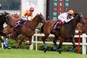 Forest Gold (No. 9), with Charles Perkins astride along the rails, finishing third in the Class 5 2,000m race won by Split Second (No. 6, Manoel Nunes) on April 27. Combustion (Bernardo Pinheiro) was second.

