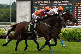 Te Akau Ben (Vitor Espindola, No. 1) and Hasten toughing it out in the Class 4 race (1,400m) at Kranji on June 22, with the former getting the nod by a nose.

