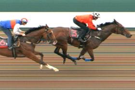 Mr Black Back (Manoel Nunes) winning a barrier trial for his new trainer Steven Burridge by 3/4-lengths from Dream Alliance (Ryan Curatolo) on July 9.
