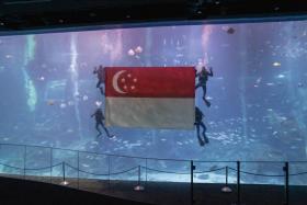 The National Day Underwater Flag Presentation at S.E.A. Aquarium Open Ocean Habitat.