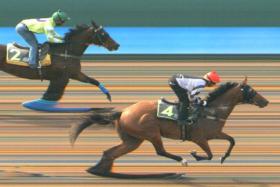 Trainer Tim Fitzsimmons&#039; galloper Raising Sixty-One (Bruno Queiroz) shows nothing is amiss as he works strongly to the line in his trial on Aug 13.
