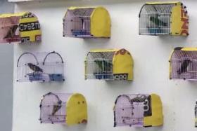 Animal welfare group Acres received tip-offs between June and October last year about the birds being displayed at a Sims Drive industrial unit.