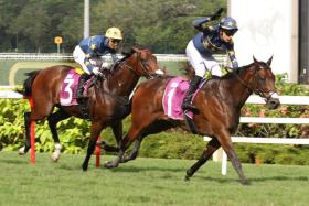 Marc Lerner steering Lim&#039;s Kosciuszko to a 10th Group 1 win on Sept 7, but a first for trainer Daniel Meagher in the Group 1 Queen Elizabeth II Cup (1,800m). Stablemate Lim&#039;s Saltoro (Wong Chin Chuen, No. 3) was third.