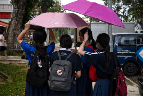 Social isolation makes teenage girls' brains age faster