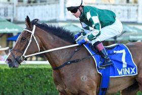 Sydney mare Via Sistina (Kerrin McEvoy) scored an impressive win in the Group 1 Winx Stakes (1,400m) at Randwick on Aug 24. She will be aiming for a third Group 1 nod in the Makybe Diva Stakes (1,600m) at Flemington on Sept 14. 
