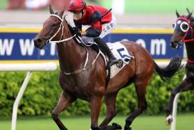 The Tony Cruz-trained The Golden Scenery (Brenton Avdulla) capturing the Group 3 Celebration Cup Handicap (1,400m) at Sha Tin on Sept 22.
