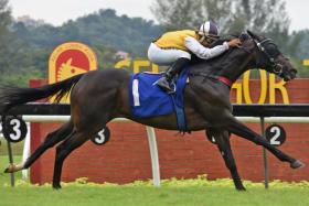 Sprinting star Awesome Storm (Tuan Ammar) scoring a comfortable victory in the Metro A race over 1,200m at Sungai Besi on Sept 21.
