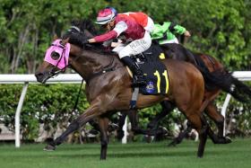 Matsu Victor (Vincent Ho) winning over the Happy Valley 1,650m on Sept 11. He can seal a double on Sept 25. 