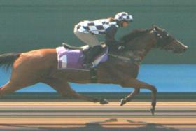 The Wild Prince (Jerlyn Seow) wrapping up a lap on his lonesome at Kranji's only barrier trial on Sept 24. The pass mark will enable him to continue his racing career in Malaysia.


