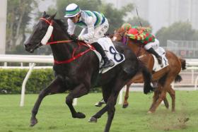 The Frankie Lor-trained Voyage Samurai claiming the Class 3 Members Cup (1,600m) with Derek Leung doing the steering at Sha Tin on May 19.
