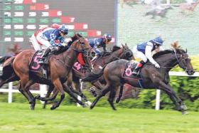 The Steven Burridge-trained Asif (Manoel Nunes) hitting the line strongly while staving off a late charge from favourite Ravalli (Ryan Curatolo, No. 5) in the Class 3 race (1,200m) at Kranji on Sept 28. The Al-Arabiya Stable-owned galloper will be on the quick back-up at Singapore’s farewell meeting on Oct 5.