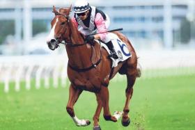 Alexis Badel driving the Pierre Ng-trained Beauty Waves to a convincing victory in the Group 3 National Day Cup Handicap (1,000m) at Sha Tin racecourse on Oct 1.

