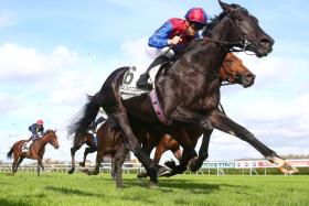 The Aidan O&#039;Brien-trained Los Angeles winning the Group 1 Critrium de Saint Cloud (2,000m) on Oct 22, 2023. He will be one of the 16 contenders lining up in the Group 1 Prix de l&#039;Arc de Triomphe (2,400m) at Longchamp on Oct 6. 
