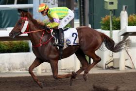 Sword Point (Derek Leung) completing a double for trainer Frankie Lor in Race 10 at Sha Tin on Oct 6. 
