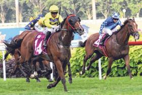 The last 50m of Singapore&#039;s last race unfolding into a finish for the ages with Smart Star (Muzi Yeni) gathering momentum on the outside to outstay his 15 rivals in the Group 1 Grand Singapore Gold Cup (2,000m) on Oct 5.