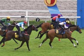 Shimi Go (Haikal Hanif) finishing the best in the first of four barrier trials at Sungai Besi on Oct 15, beating Darc Bounty (Khaw Choon Kit) by a neck

