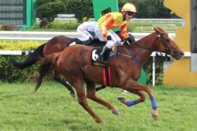 The Wayne Lim-trained Mega Gems (Lim Aun Kean) springing an upset in the Group 1 Kawan ESG Coronation Cup (1,600m) in Ipoh on Nov 3.
