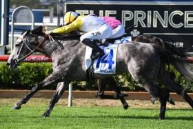 Briasa winning the Group 2 The Hunter (1,300m) in Newcastle on Nov 16. He was ridden by Tyler Schiller, who won one race on Always Together at Kranji on Singapore Derby day on July 21.
