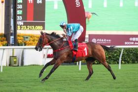 Romantic Warrior, ridden by James McDonald, winning the Group 2 BOCHK Jockey Club Cup (2,000m) at Sha Tin Racecourse on Nov 17.